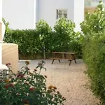 Buena Vista بروتاراس