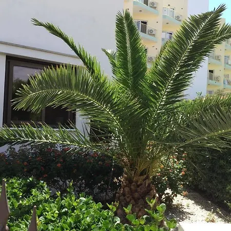 Holiday home Buena Vista *